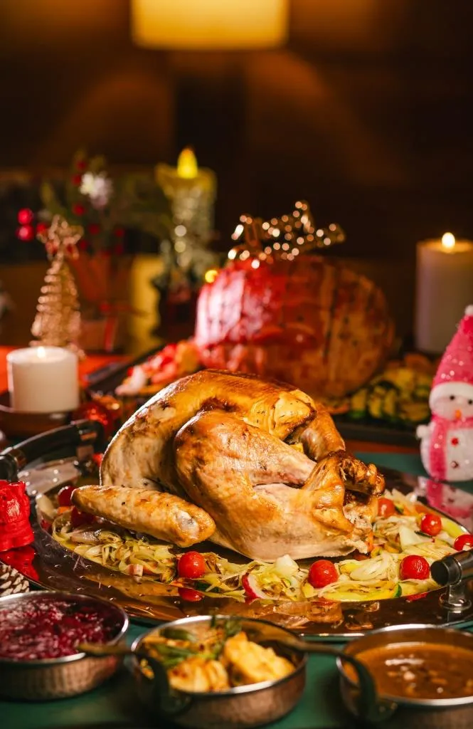 Turkey TGD FFE