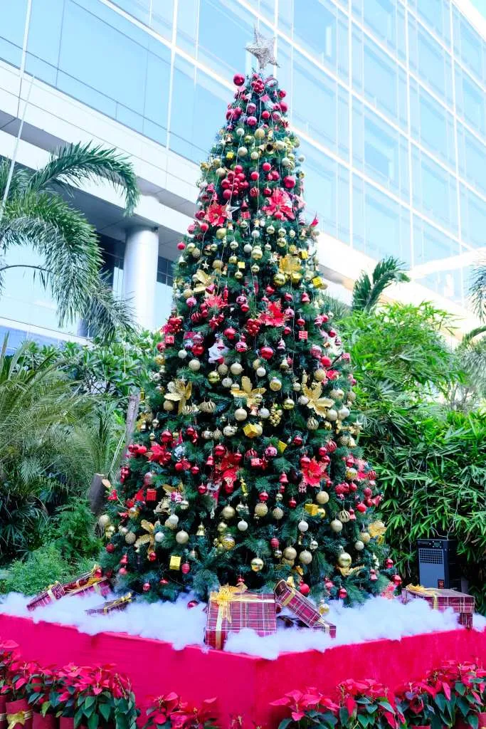 Andaz Christmas