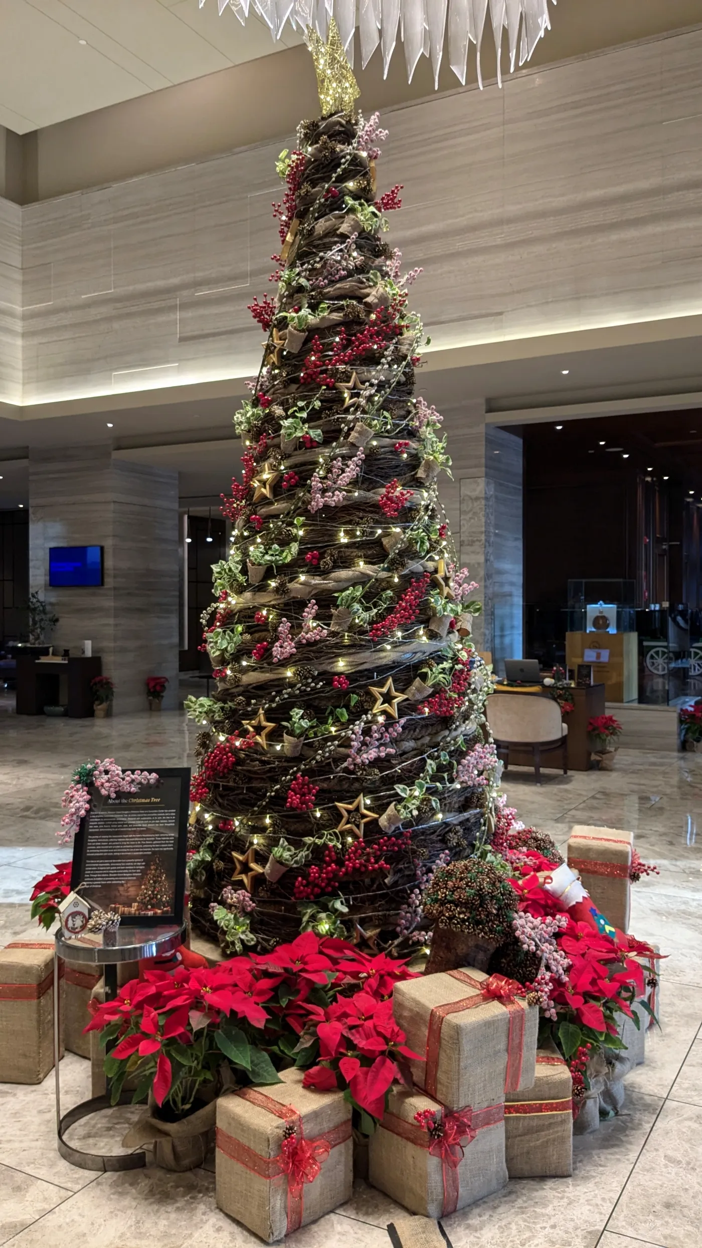 Tree Lighting_Sheraton Grand Whitefield 2