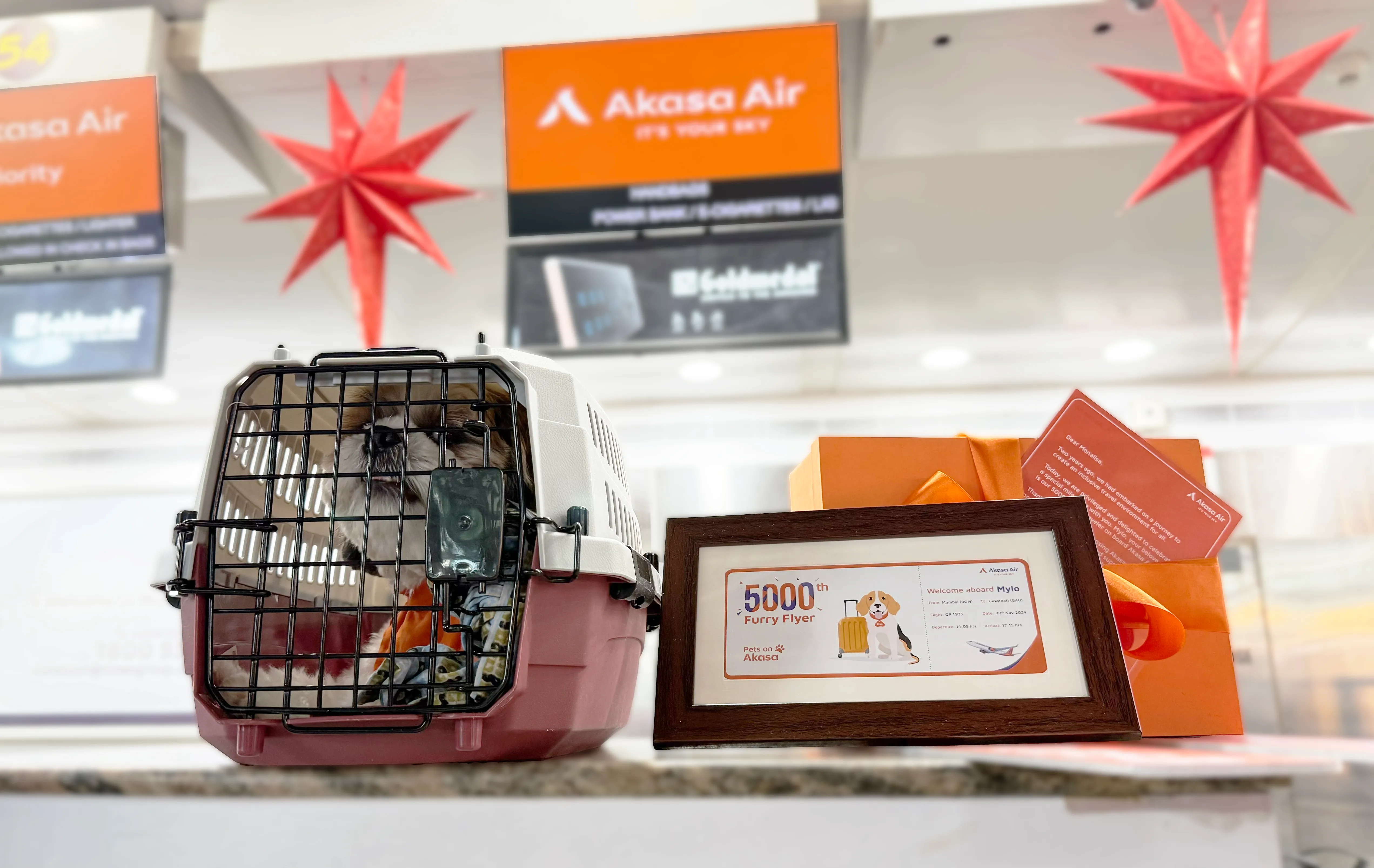 Pets on Akasa, Akasa Air’s pet-friendly service, celebrates 5000th pet in air