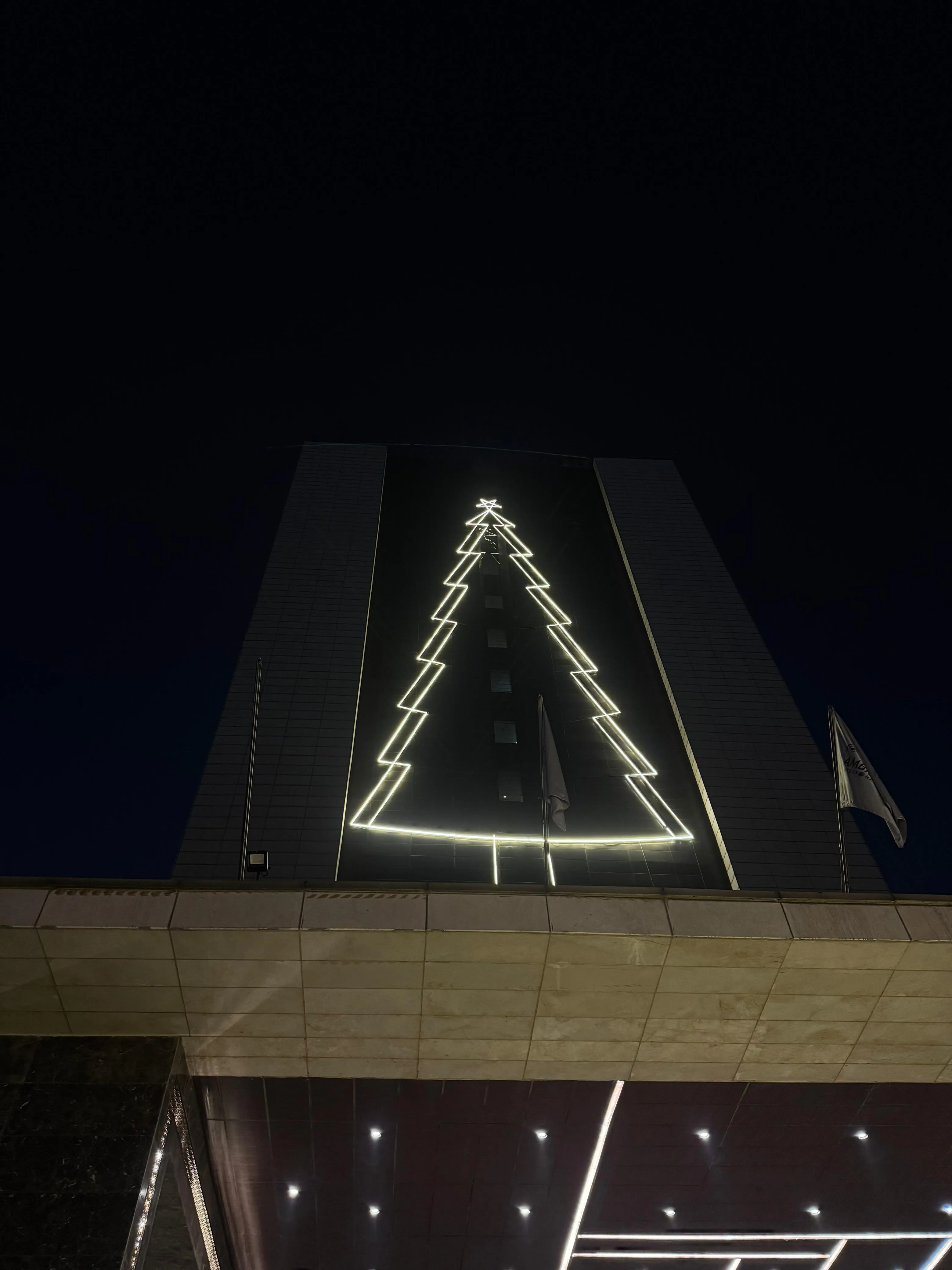 The Leela Ambience Convention Hotel Delhi 2