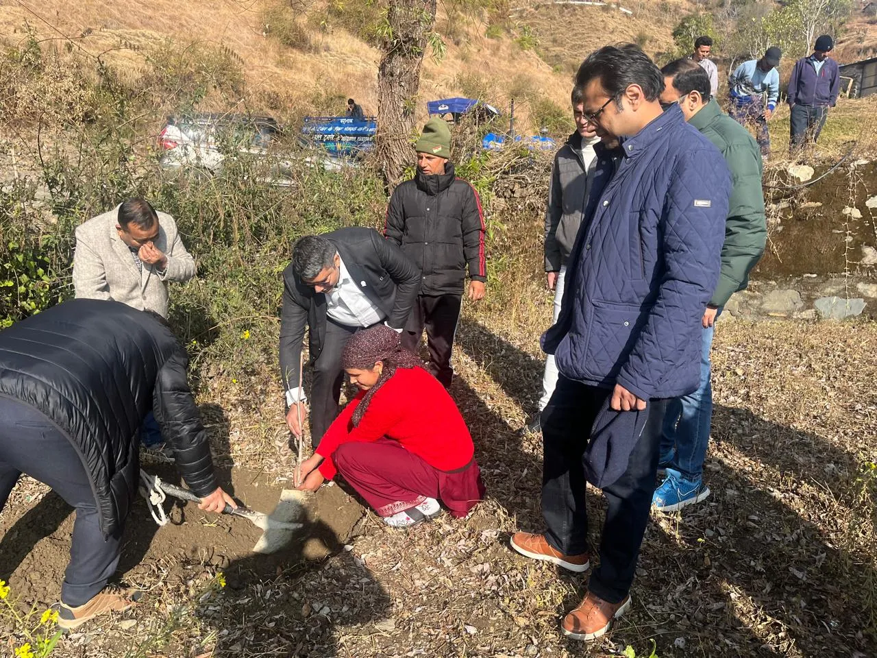 Chakrata Plantation