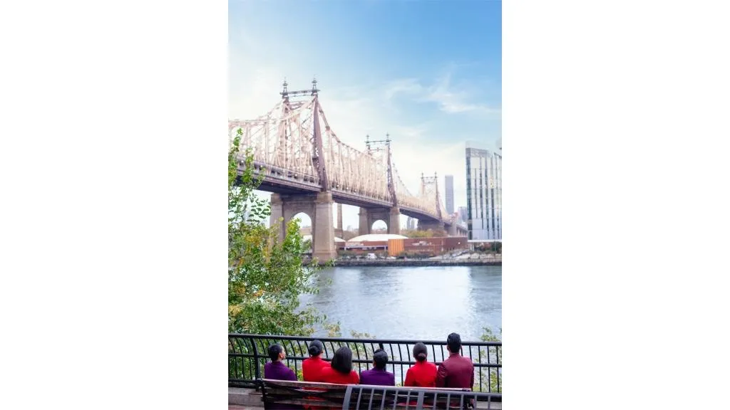 IMG 0337 