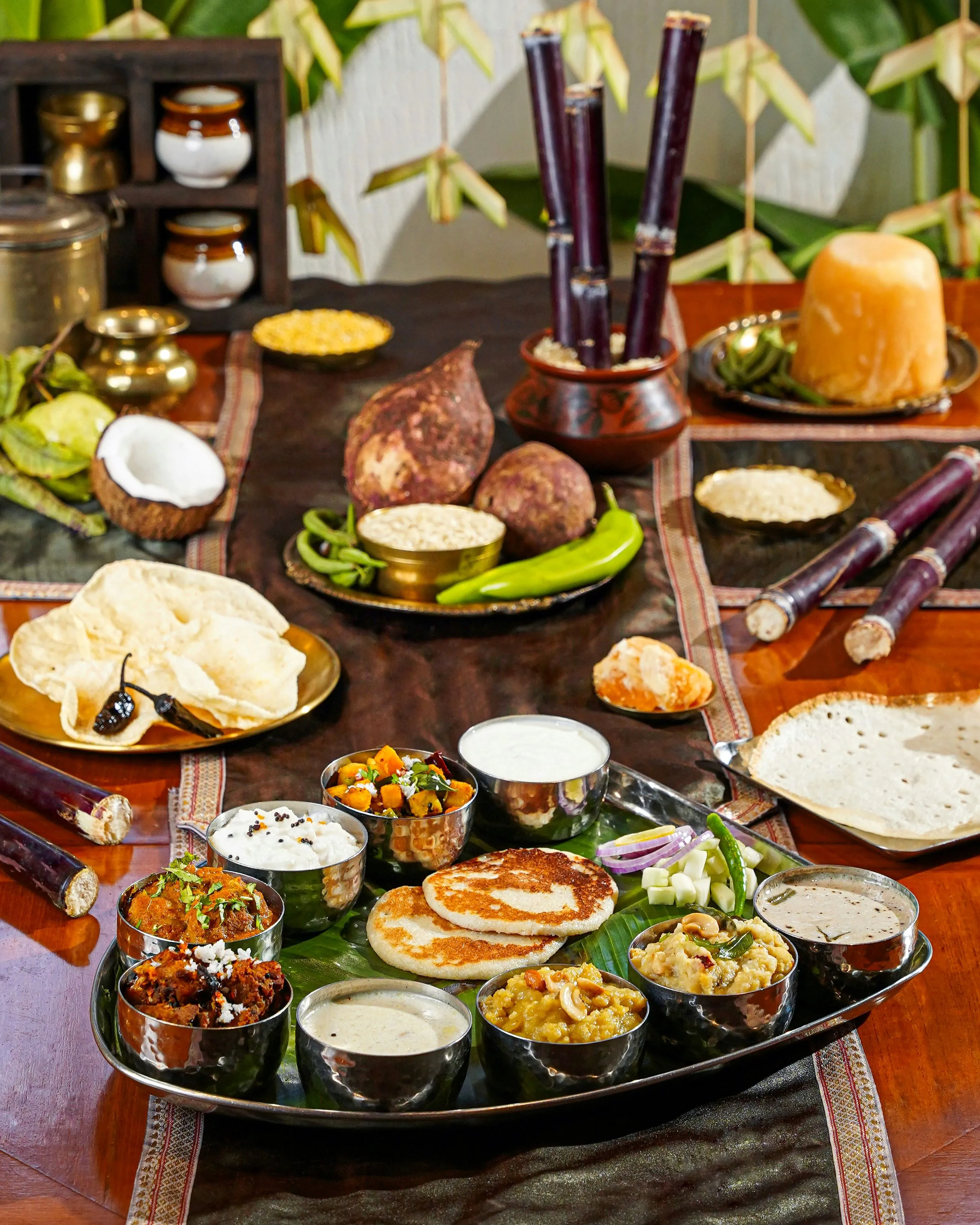 South of Vindhyas Pongal Festival 7