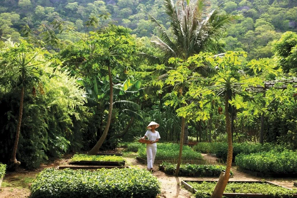Six Senses - Ingredients featured in restaurants and spa