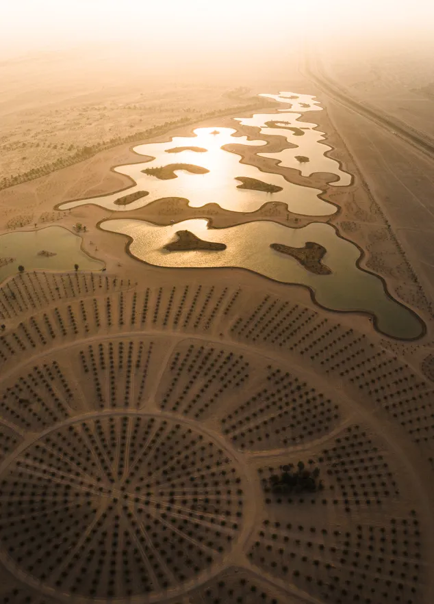 Al Qudra Lakes 2