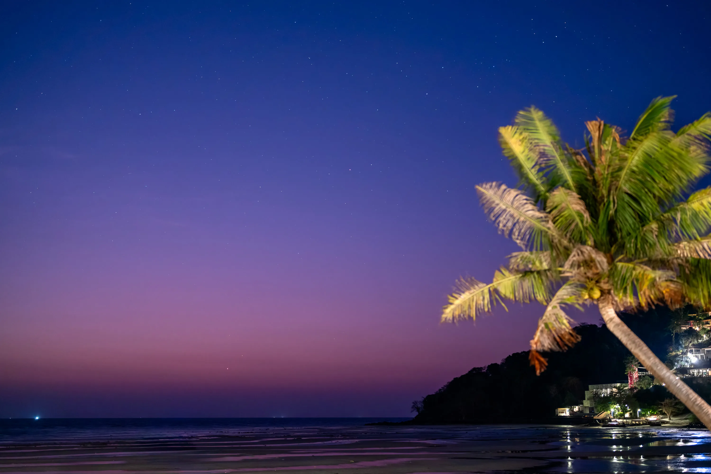 1 SAii PhiPhi Island Village Sky Gazing Palm Tree 
