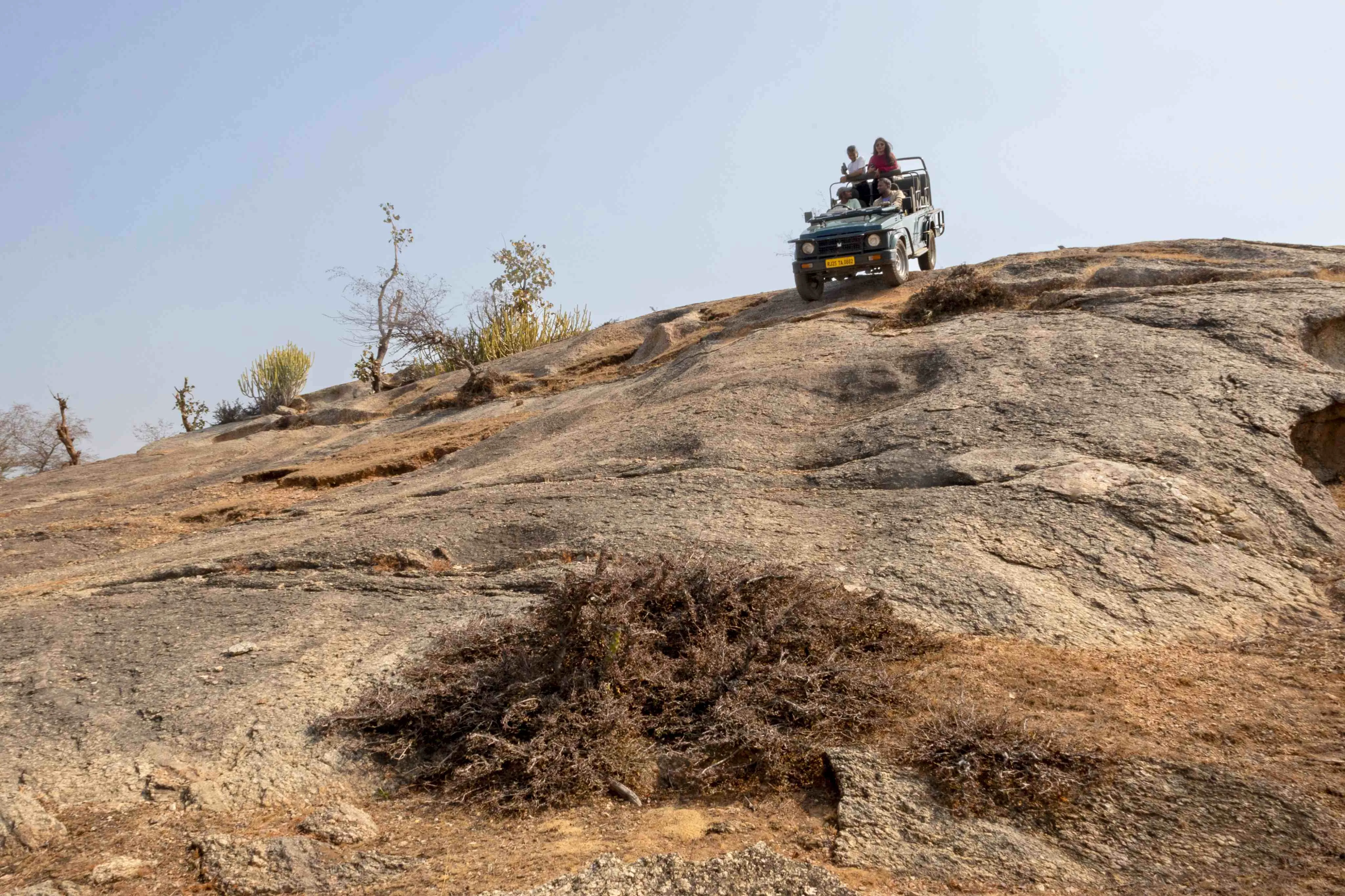 Jeep Safari Deep Trek