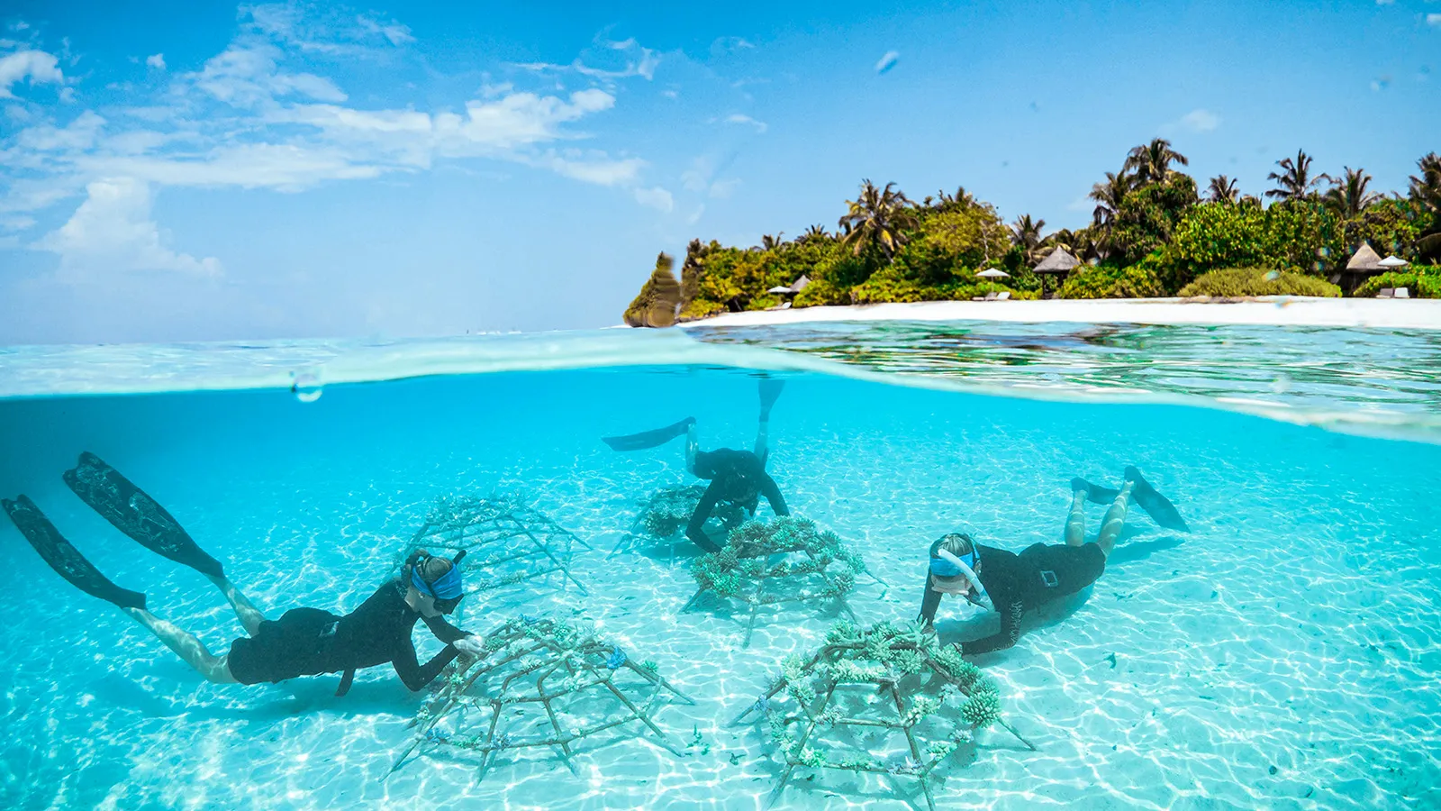 Coral Regeneration at Four Seasons Resorts Maldives 3