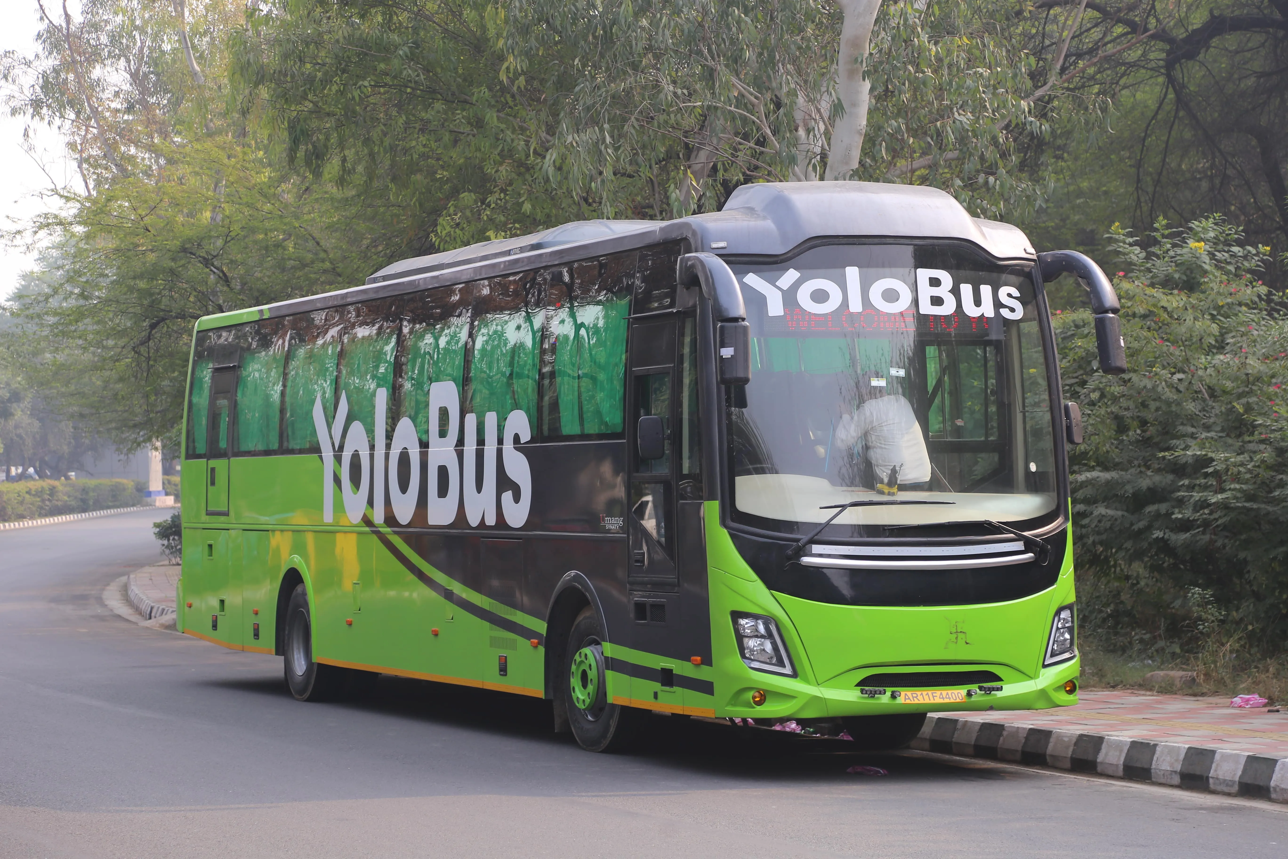 Yolo bus