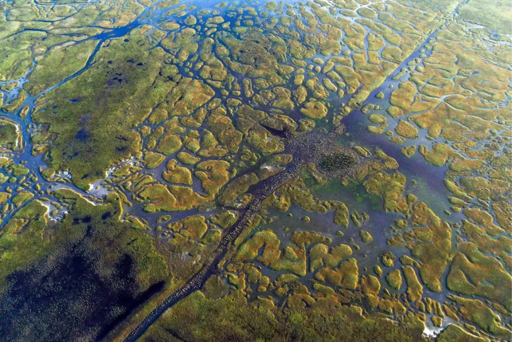 Hortobagy National Park Hungary