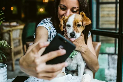 publive-image
