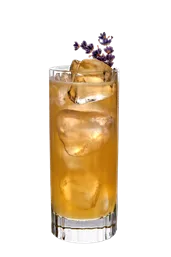 publive-image