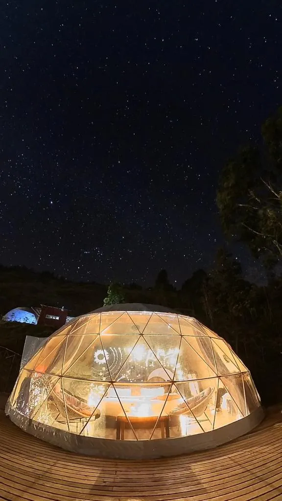 publive-image