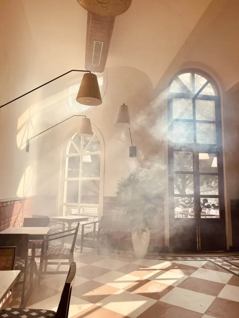publive-image