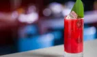 publive-image