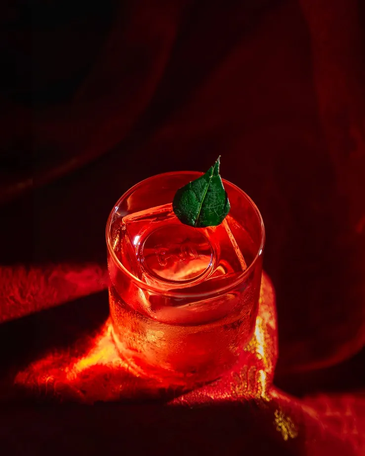 publive-image