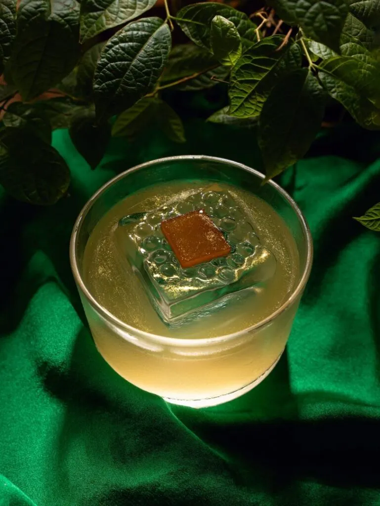 publive-image
