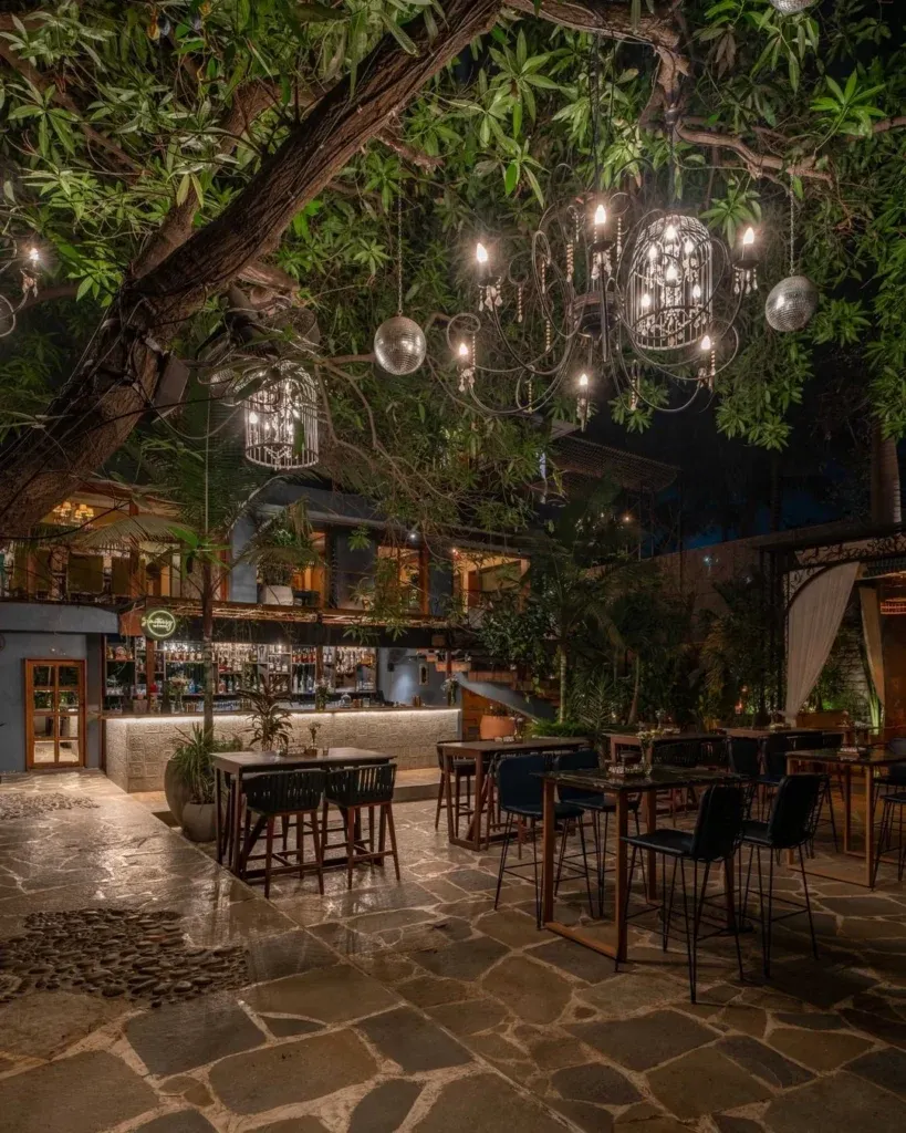 publive-image