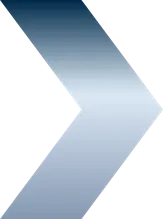 publive-image