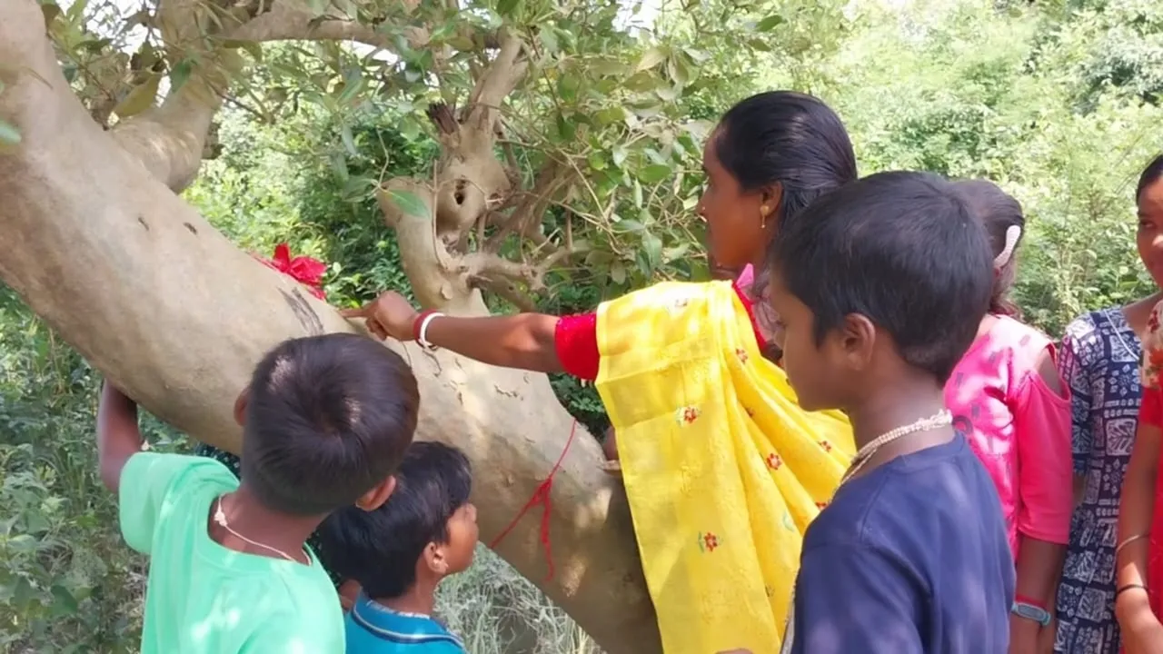 Bhai Phota 2024,Sundarban,Mangroves ,kultali, Bhai Dooj, Bhaiphota, ম্যানগ্রোভ ভাইফোঁটা কুলতলি