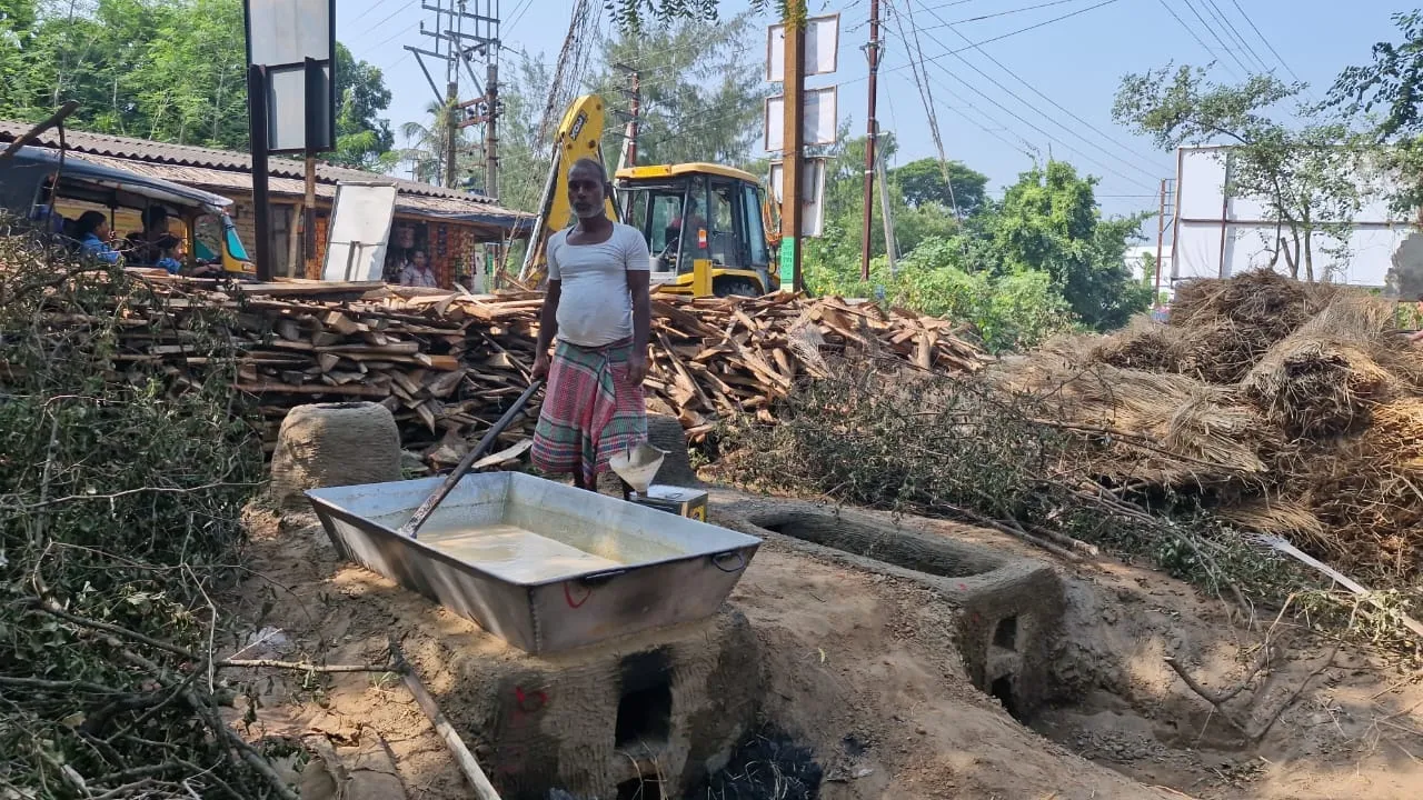 Nolen Gur,Purba Medinipur,Khejuri, নলেন গুড়, পূর্ব মেদিিনীপুর, খেজুরি