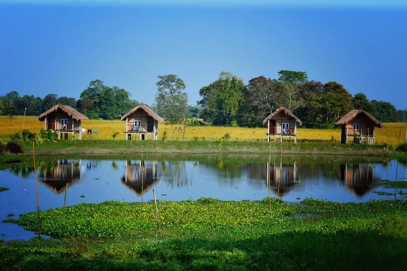 Top 7 Things to do in Majuli – Largest River Island in the world