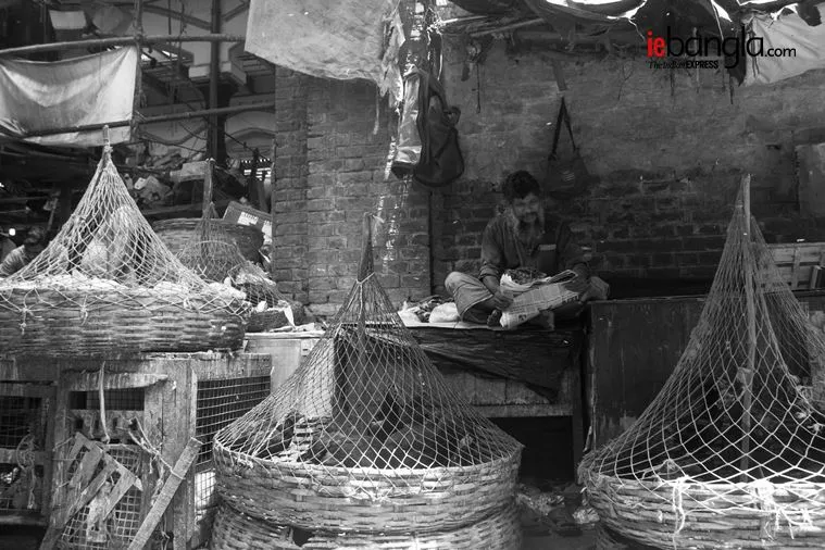 Kolkata Hogg market