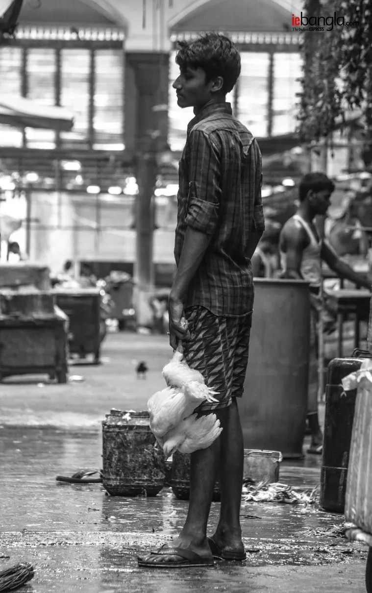 Kolkata Hogg market