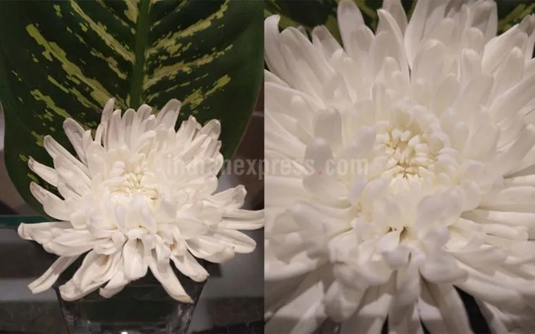 nokia8_sirocco_sample4