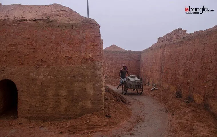brick feild, ইটভাটা, bengal brick feild, শ্রমিক, brick kiln, ইট, bengal brick kiln, brick kiln labour, basirhat brick labour, labour, indian express, ie bangla,বসিরহাট