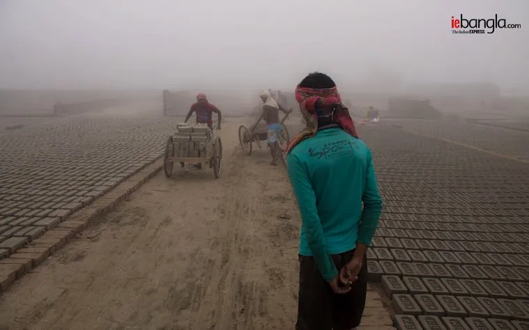 brick feild, ইটভাটা, bengal brick feild, শ্রমিক, brick kiln, ইট, bengal brick kiln, brick kiln labour, basirhat brick labour, labour, indian express, ie bangla,বসিরহাট