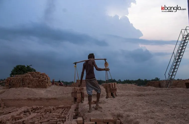 brick feild, ইটভাটা, bengal brick feild, শ্রমিক, brick kiln, ইট, bengal brick kiln, brick kiln labour, basirhat brick labour, labour, indian express, ie bangla,বসিরহাট