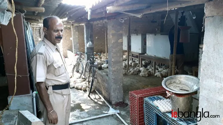 rotten meat, kolkata
