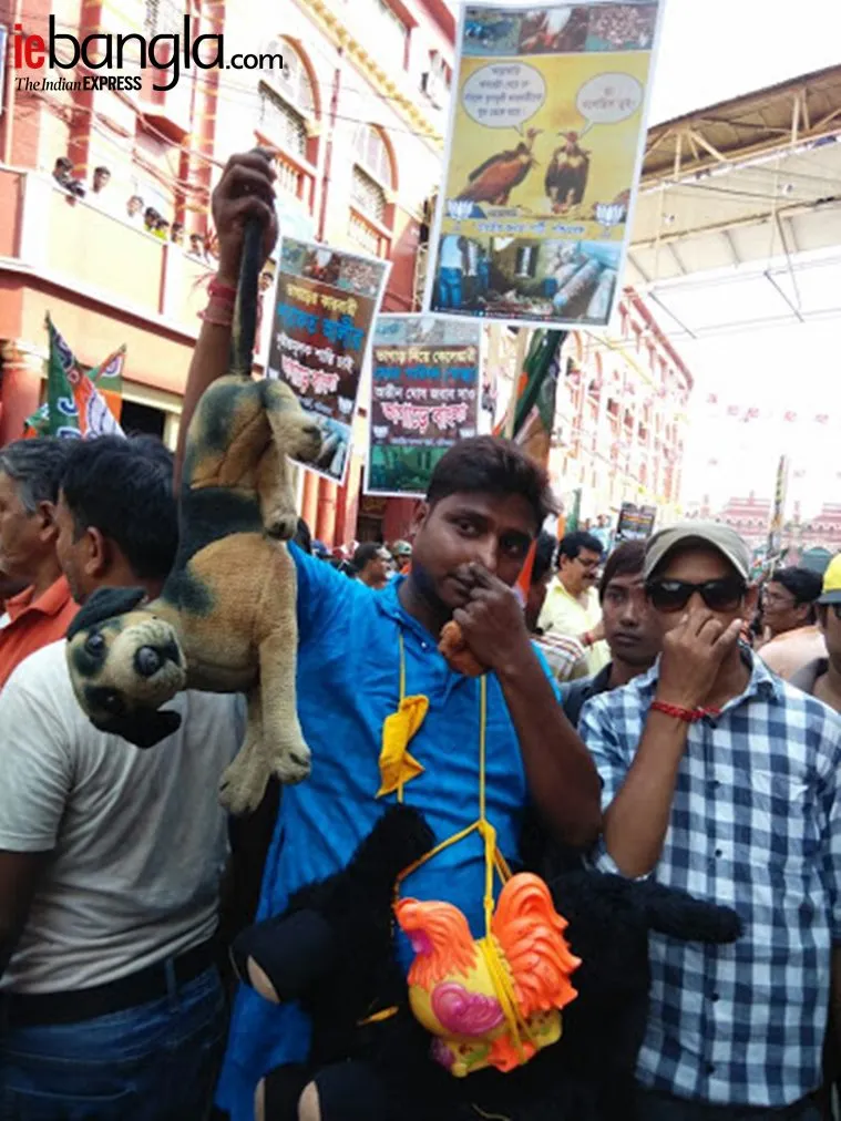 BJP PROTEST, rotten meat