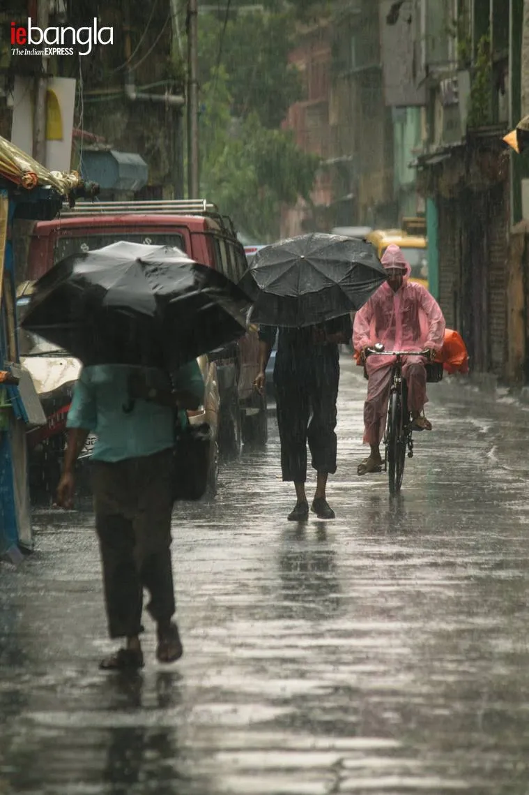 rain, kolkata, বৃষ্টি, কলকাতা