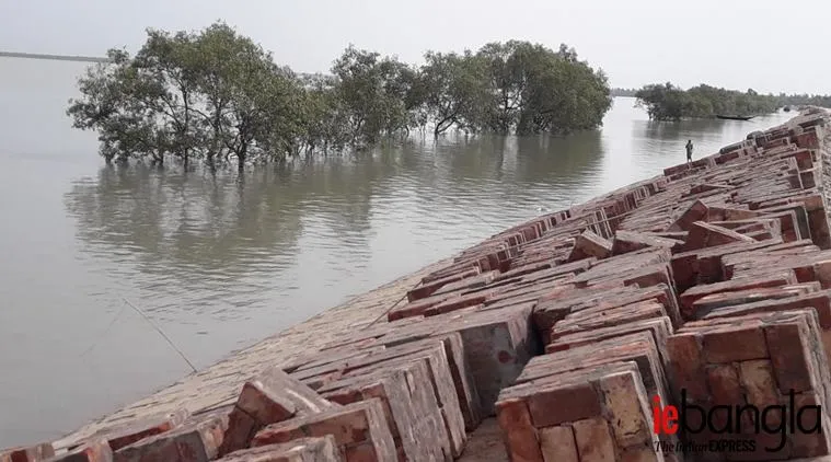 sundarban dam condition (photo Feroz Ahmed)
