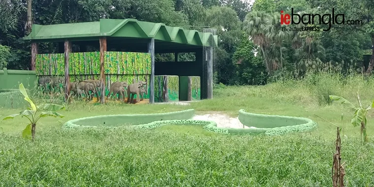 alipore zoo, আলিপুর চিড়িয়াখানা