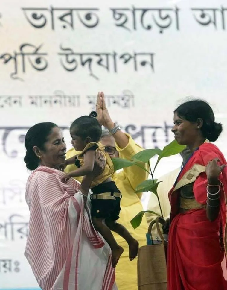 mamata jangal