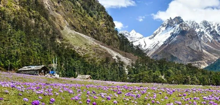 Okhrey Travel