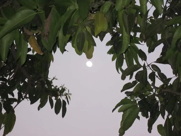 deoghar travelogue