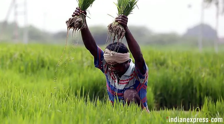 indian farmer loan