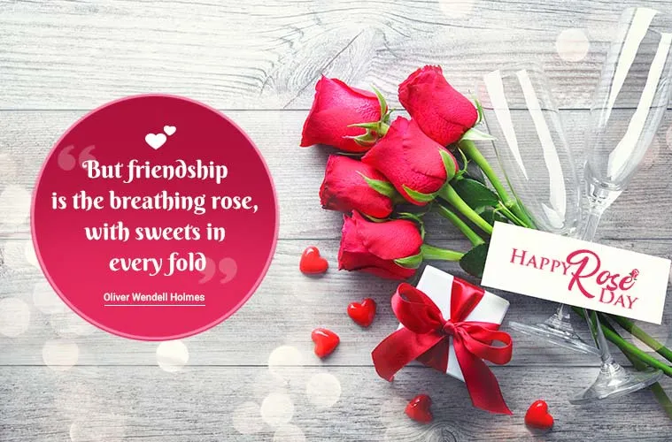 Our Friendship continues til d last rose dried