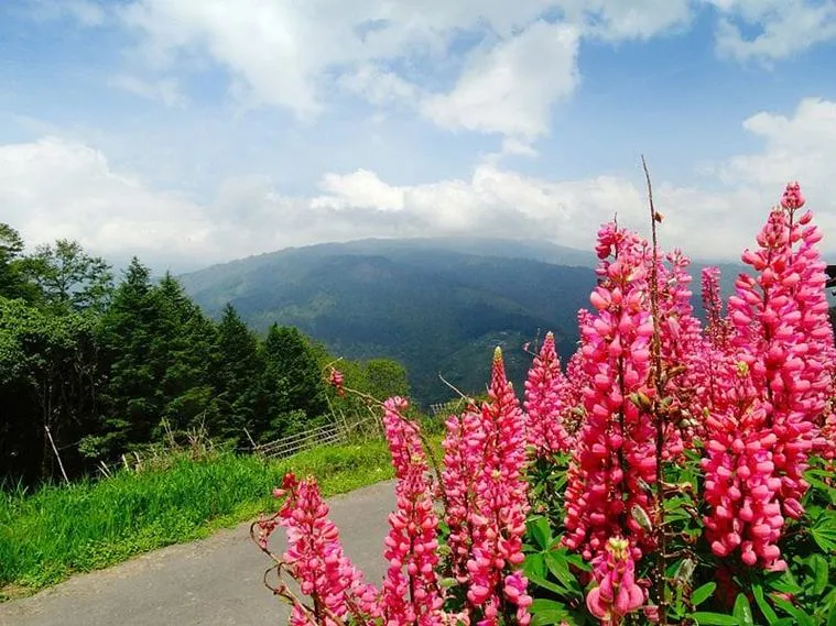 Sikkim Okhrey Travel