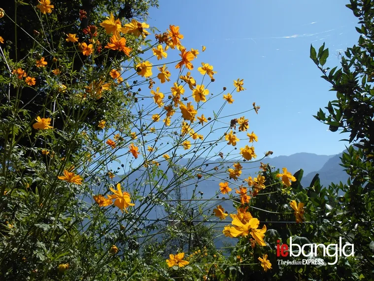 kalimpong north bengal tourism