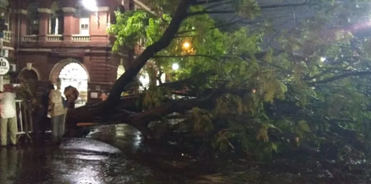 KOLKATA RAIN, কলকাতায় বৃষ্টি, কালবৈশাখী