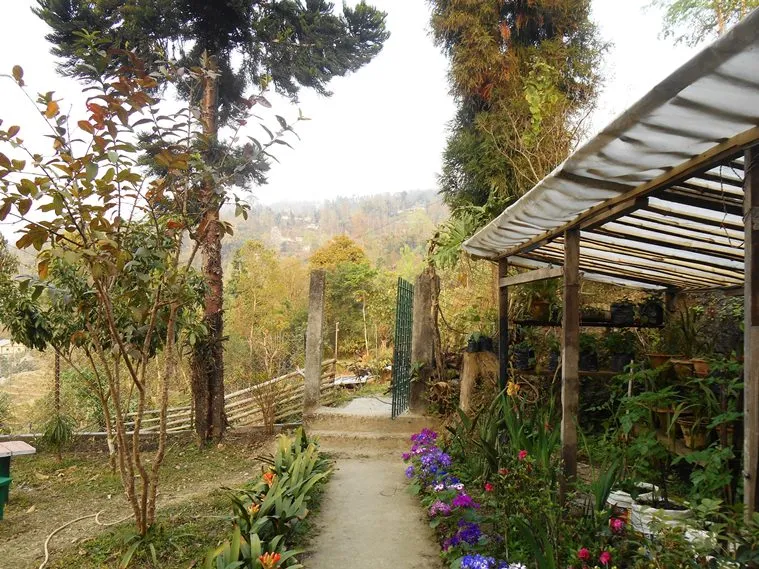 Chibo Tourism, North Bengal Tourism