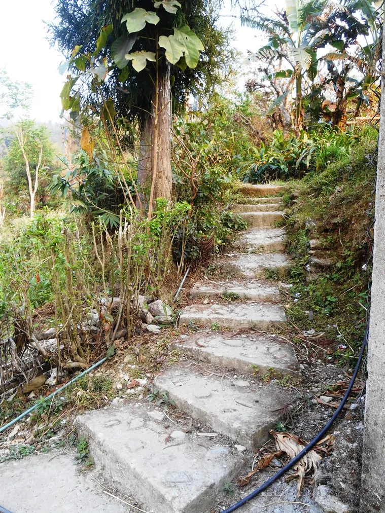 Chibo Tourism, North Bengal Tourism