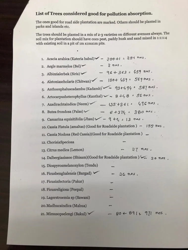 list of air purifying trees