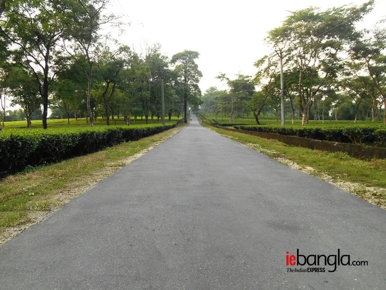 north bengal tourist destinations